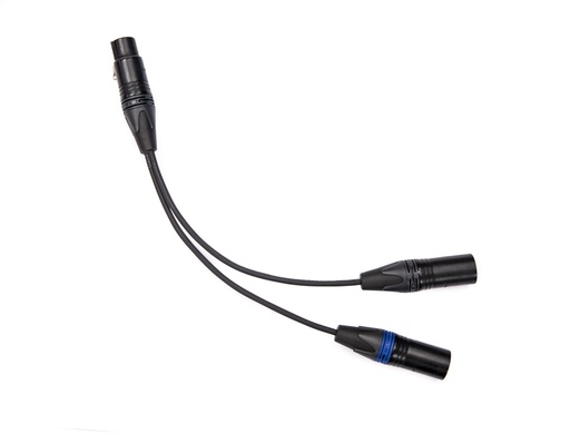 [3844] BB&S Split Cable (2 x 3-Pin Male to 4-Pin Female)